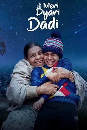 Meri Pyari Dadi (2025) Punjabi (DD5.1) Full Movie WEB-DL